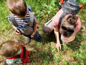Naturschutzgebiet Weiherwiesen Bonerzgruben