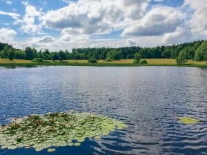 Naturschutzgebiet Weiherwiesen Unterer Weiher