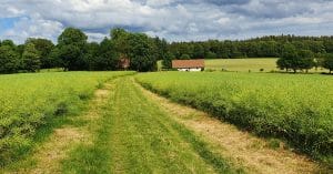 Naturschutzgebiet Weiherwiesen Weg nach Tauchenweiler