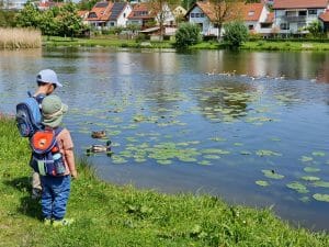 Rhododendren-Wald Wört