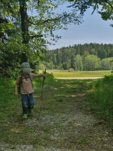 Rhododendren-Wald Wört