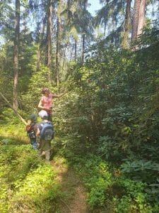 Rhododendren-Wald Wört