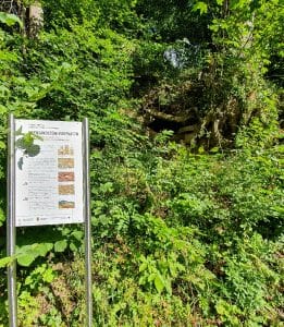 Geologischer Pfad