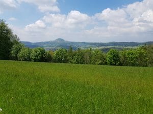 Im Rehgebirge