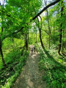 Bergrutschung unterer Teil