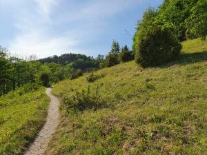 Kaltes Feld Orchideenpfad
