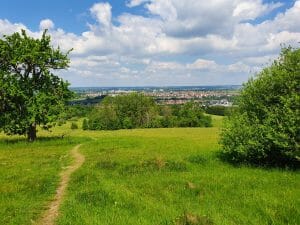 Naturschutzgebiet Lindenfeld
