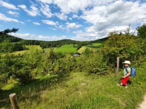 Kaltes Feld Orchideenpfad