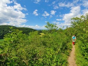 Kaltes Feld Orchideenpfad