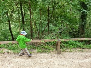 XXL-Waldkugelbahn