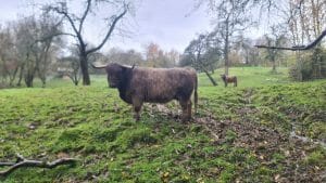 Rundwanderweg Wäscherschloss