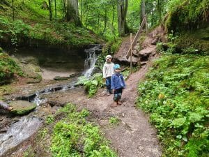 Märchenwald im Hafental