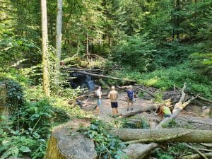 Strümpfelbachtal