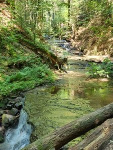 Strümpfelbachtal