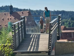 Schwäbisch Gmünd - Türme & Kirchen