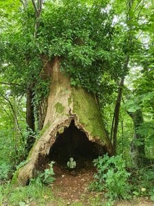 Besucherbergwerk Tiefer Stollen