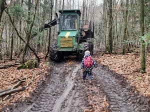 Hörschbachschlucht