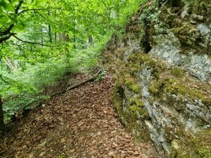 Trampelpfad zum Pfaffensturz