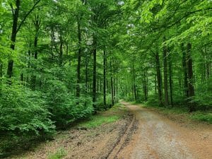 Aufstieg zur Hohen Wiere