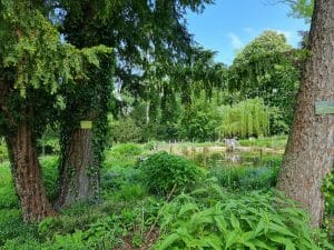 Schlossteich Essingen