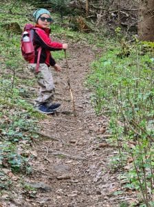 Bergrutschung Tannenwald