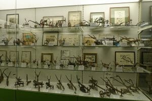 Modellsammlung