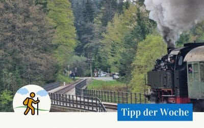 #033 Die Schwäbische Waldbahn