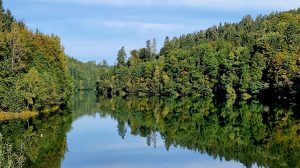 Walderlebnispfad Herrenbachstausee