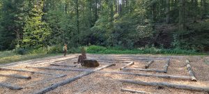 Walderlebnispfad Herrenbachstausee