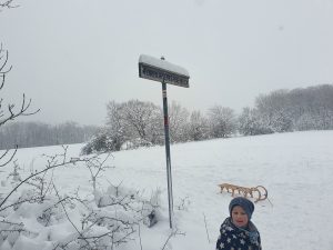 Schlittenfahren auf der Ostalb
