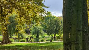 Schlosspark Stuttgart