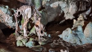 Bärenhöhle