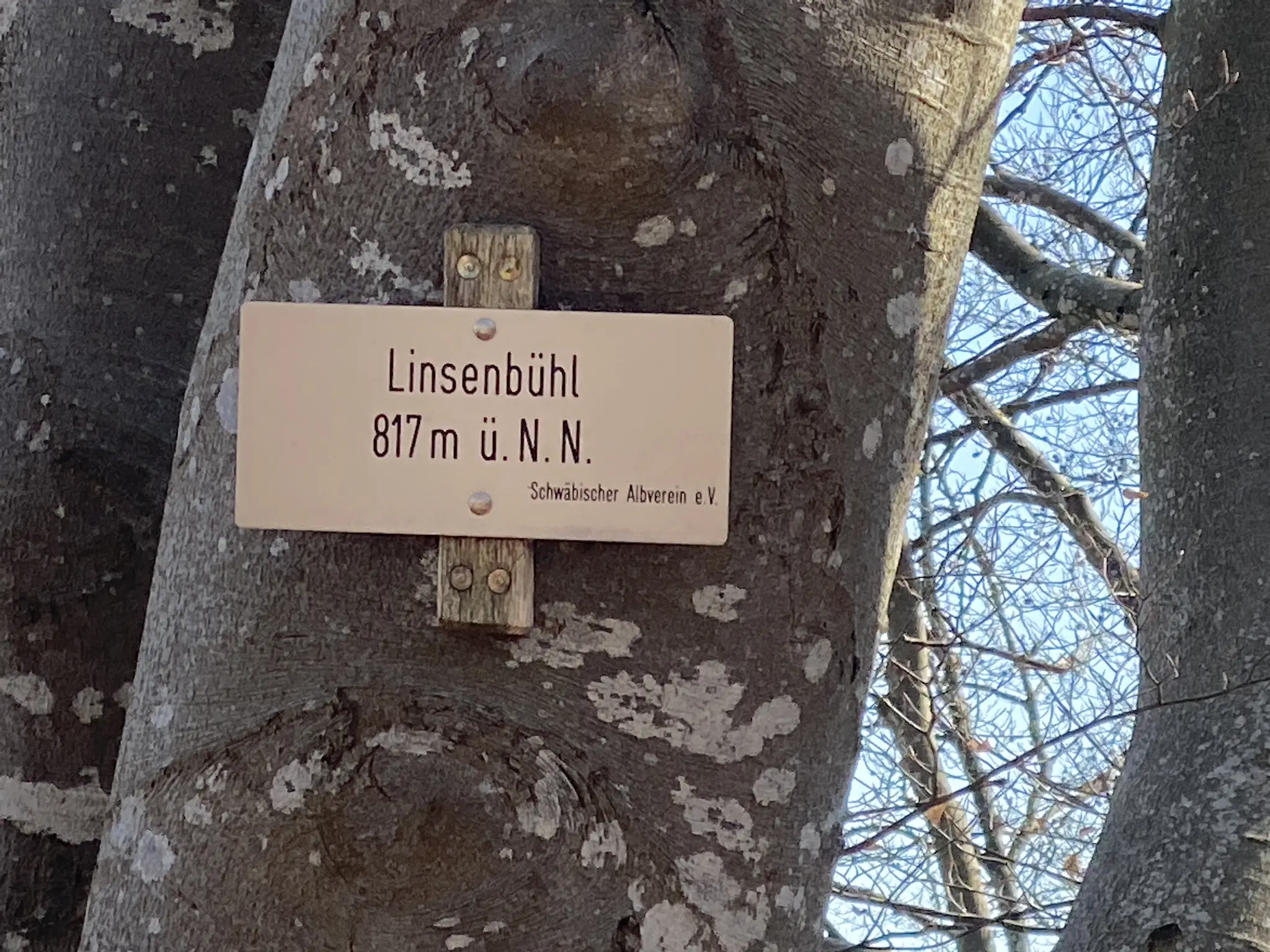 Linsenbühl