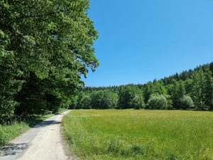 Wiesenaue Blinde Rot