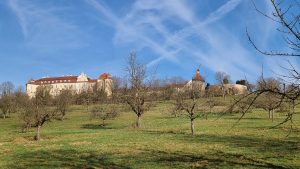 Schloss ob Ellwangen